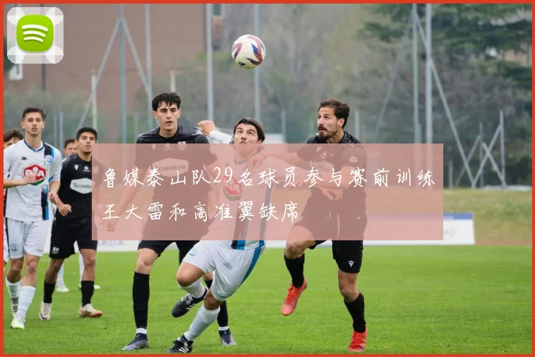 鲁媒泰山队29名球员参与赛前训练王大雷和高准翼缺席